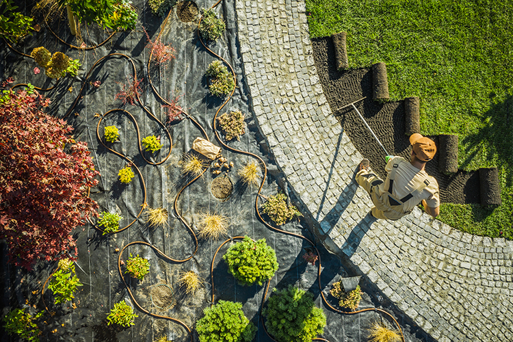 Landscape Design