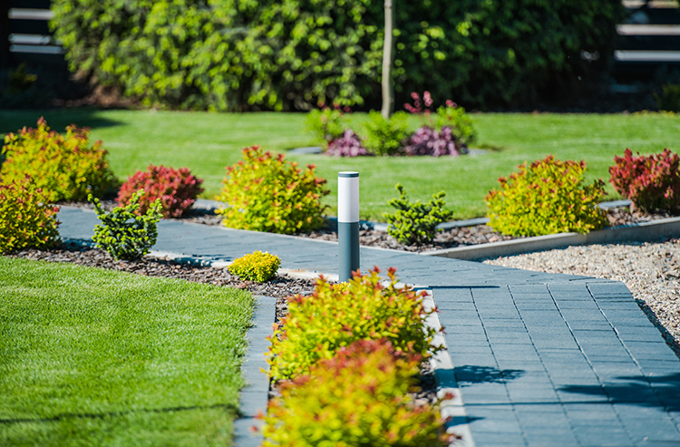 Landscape Design