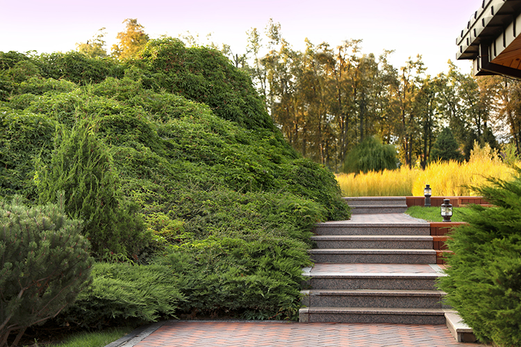 Landscape Design