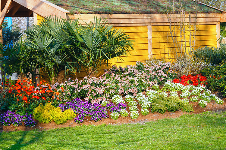Landscape Design