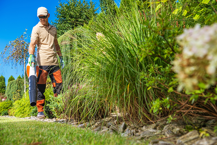 Lawn Care Maintenance