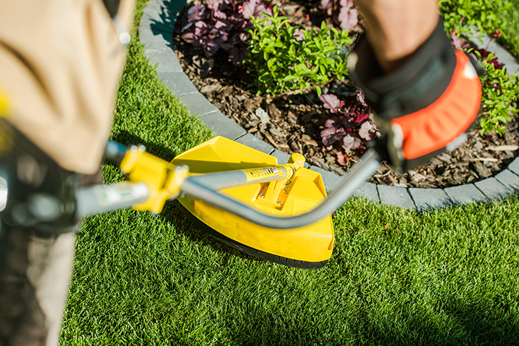 Lawn Care Maintenance