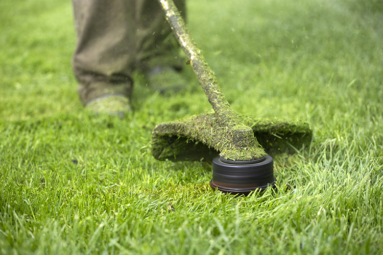 Lawn Care Maintenance